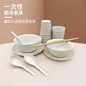 MT一次性餐盘套装一次性餐具-纪念日百货门店同款171044569