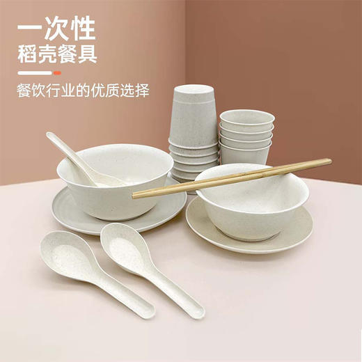 MT一次性餐盘套装一次性餐具-纪念日百货门店同款171044569 商品图0