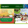 《了不起的数学》（全10册） 商品缩略图7