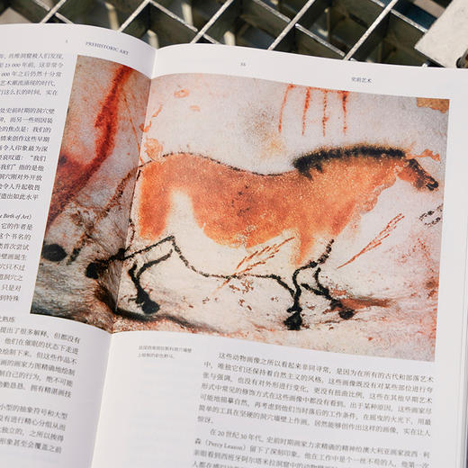 艺术的进化：三百万年人类艺术史《裸猿》作者德斯蒙德·莫里斯，一部震撼的视觉与思想通史 艺术史 商品图4