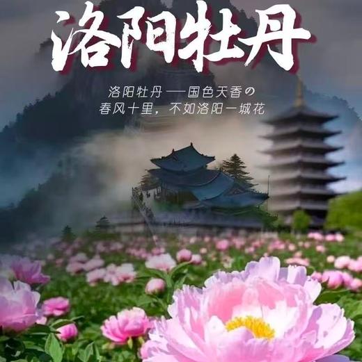周末2天【洛阳牡丹 立减30元】洛阳牡丹甲天下の老君山日落+夜景-洛邑古城-白马寺-龙门石窟 商品图0