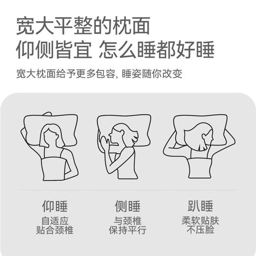 罗莱阿法眠-云朵护颈枕 胖东来同款 商品图2