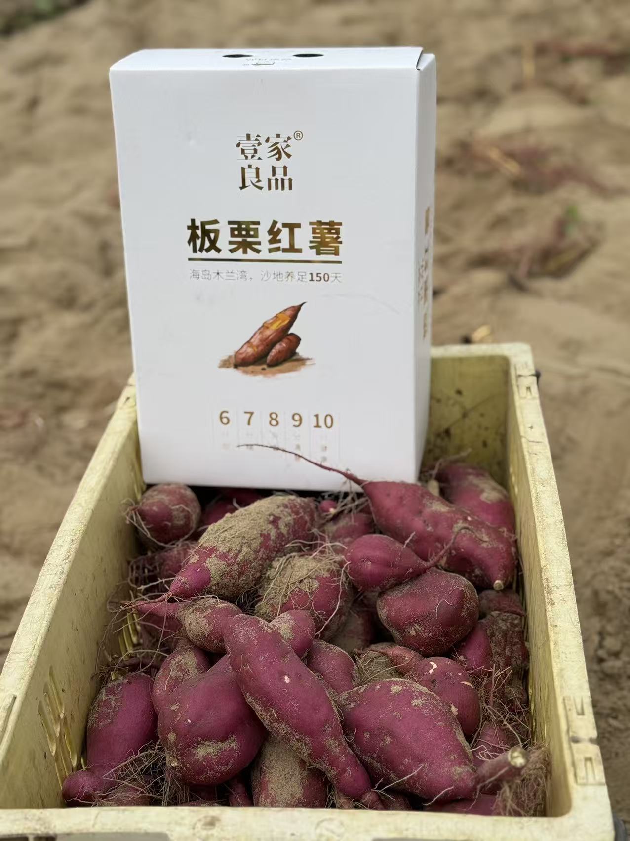 周日取货：【壹家良品板栗红薯】一箱毛重6斤左右，香甜，糯，沙，面，没有纤维感，堪称地瓜界的劳斯莱斯。