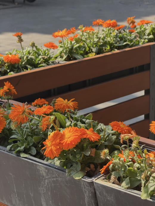 莫代尔莱赛尔天丝复古铆钉短袖T 商品图6