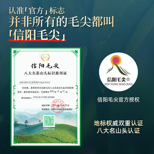 【2026年新茶预售】茶马世家丨信阳毛尖 河南名优绿茶 特级 江山如画礼盒装 200g，新茶预计4月10日发货 商品图2
