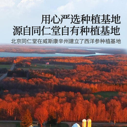 【正宗同仁堂品牌】北京同仁堂 西洋参-4#片/70克(7克x10) 美国进口  SY 商品图2