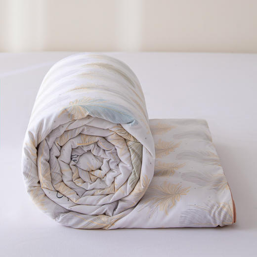 杉杉家纺 水洗棉夏凉被-新羽 商品图4
