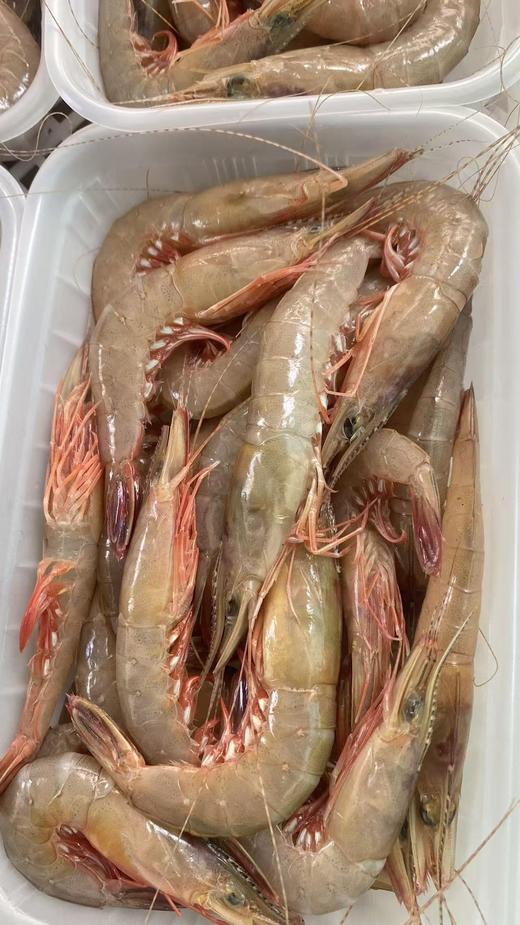 xm断货好几个月，今天新鲜刚上岸！！！天然剑虾，虾壳更薄，虾肉更紧实，风味物质更浓郁，是追求食材本味的您不可错过的选择！顺丰活冻送货到家~ 商品图3