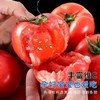 【陕西普罗旺斯西红柿】果肉绵密起沙，一咬就爆汁，不硬不柴、现摘现发 商品缩略图1