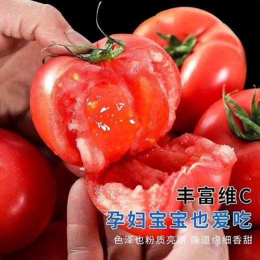 【陕西普罗旺斯西红柿】果肉绵密起沙，一咬就爆汁，不硬不柴、现摘现发 商品图1