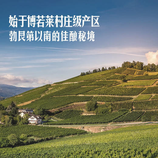 MM 山姆 Duboeuf法国进口 乔治杜博夫博若莱村红葡萄酒 750ml 商品图2