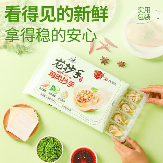 龙抄手鸡肉抄手200g 商品图2
