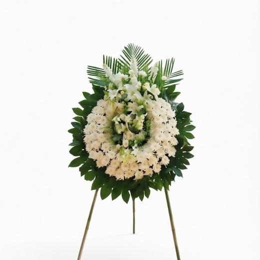 芳华长忆 商品图0