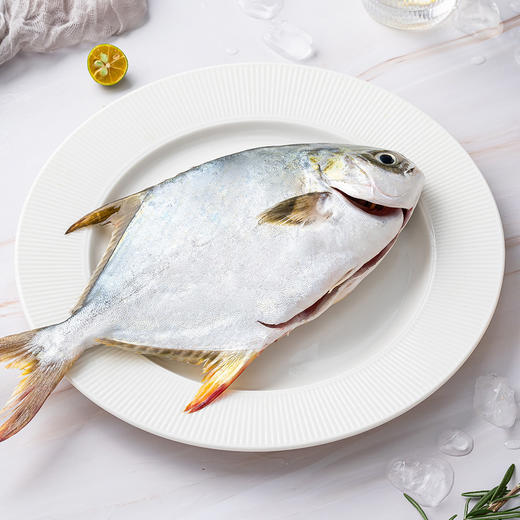 MM 山姆 二去金鲳鱼（调味去腥）3条装 商品图4