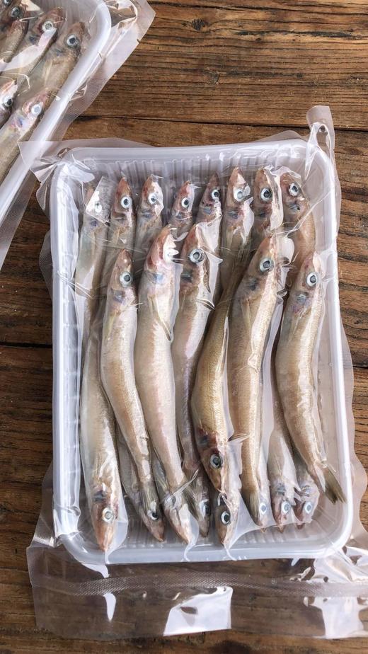 沙丁鱼 野生捕捞 新鲜发货 肉质细腻 油炸香煎 商品图4