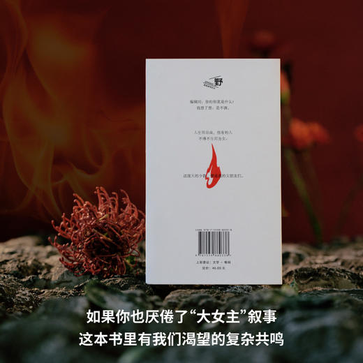 女朋友们  | 野生作者和她的普通女人故事集：小镇做题家、过气女艺人、北漂女青年……野草一样坚韧，烈火一样灼烧，满怀杀不死的欲望，救出了蕞普通的自己 商品图3