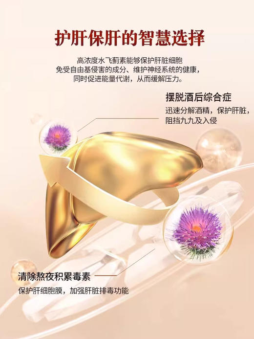 CATALO家得路特强金装护肝宝90粒（2027.12） 商品图2