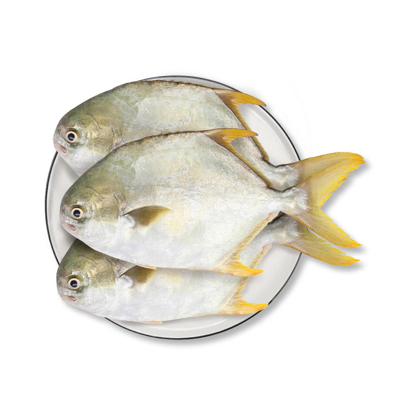 MM 山姆 二去金鲳鱼（调味去腥）3条装