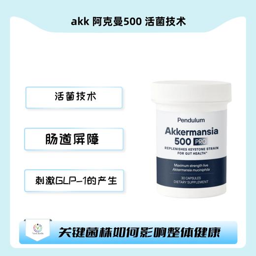 akk阿克曼500益生菌活菌技术肠道健康必备 商品图0