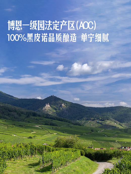 MM 山姆 勃艮第 法国进口 BOURGOGNE博恩一级园红葡萄酒 750ml 商品图3