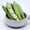 新鲜现摘蚕豆带壳 商品缩略图3