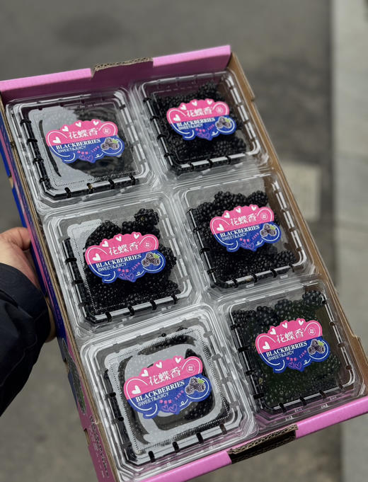 云云花蝶香黑莓 商品图5