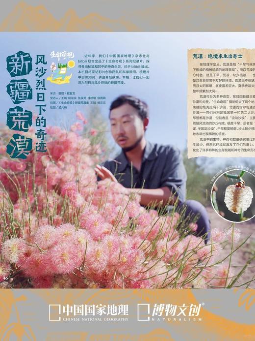 博物杂志 2026年4月刊 鼯鼠
封面故事 翼装飞行鼻祖 商品图8