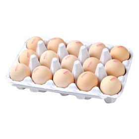 看得见的放心 可生食鸡蛋15枚/盒