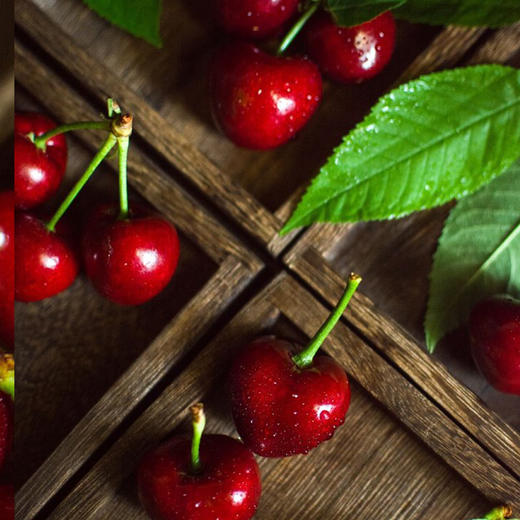 大连美早大樱桃（现摘现发，下单72小时发货）下单后采摘，如遇大雨极端天气顺延 商品图5