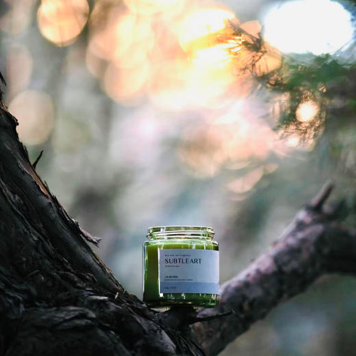 察木 上林系列木芯 香薰蜡烛100g 商品图0