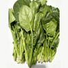 【同行精选】蔬菜箱6斤 自然农法种植 共7种菜品：胡萝卜，豌豆苗、油麦菜，卷心菜，菠菜，莴笋，苏州青苔 【京东空运】 商品缩略图2