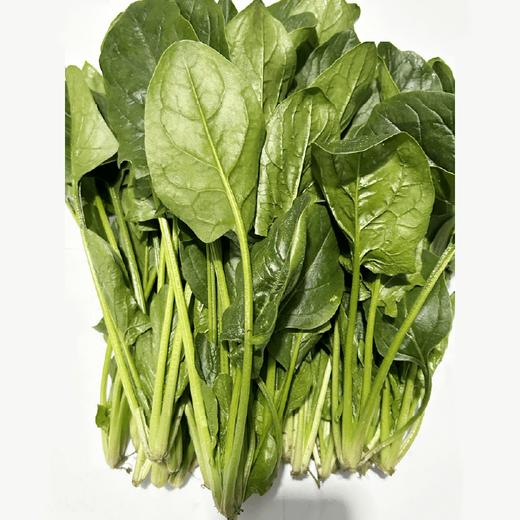 【同行精选】蔬菜箱6斤 自然农法种植 共7种菜品：胡萝卜，豌豆苗、油麦菜，卷心菜，菠菜，莴笋，苏州青苔 【京东空运】 商品图2