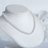 强光白色淡水珍珠项链XL574 商品缩略图0