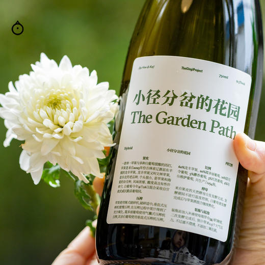 企鹅市集|金桔计划 苹果西打酒 红苹果x白葡萄混酿 香气层次丰富 商品图3