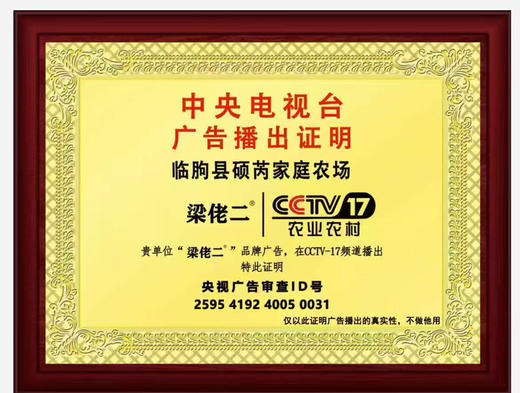 梁佬二柴鸡蛋，央视上榜品牌｜山林散养柴鸡蛋
天然散养、食谷饮泉、无抗生素，蛋清浓稠、蛋黄沙香，营养又安心！5斤/箱 商品图2