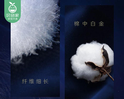 高洁丝海岛奢宠纯棉卫生巾夜用*2包（280mm*6片/包）生产日期: 1月 商品图3