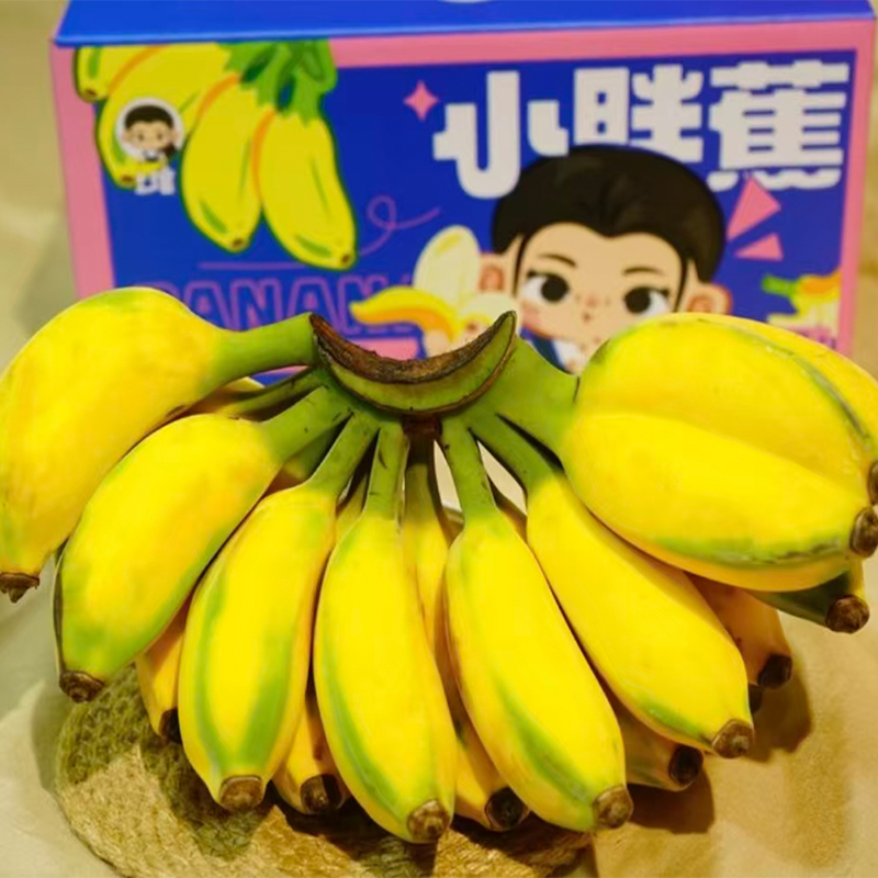 福建 小胖苹果蕉 净重4斤