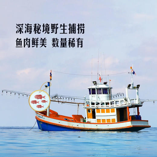 MM 山姆 新西兰冻橙鲷鱼鱼片 1kg 商品图4
