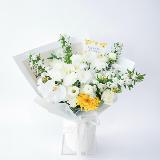 春雨谣 商品图0