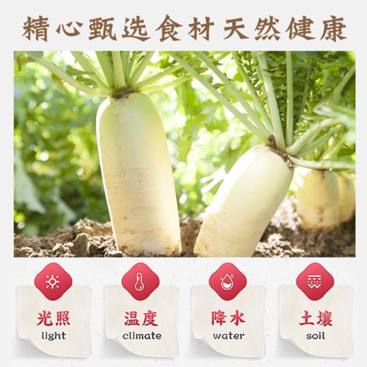 麻辣萝卜干即食下饭菜湖南特产香辣脆萝卜瓶装开味咸菜萝卜丁酱菜 商品图3