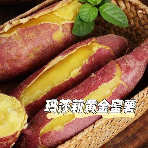 蜂蜜面包薯 商品图2