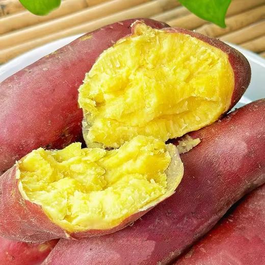 黄金板栗薯新鲜现挖  粉糯香甜 商品图1