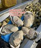 【生蚝+扇贝】 商品缩略图0