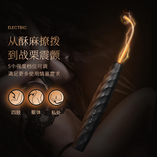 roomfun房趣电滋棒sm电击调教情趣道具重口味男女调情神器刑器 商品图6
