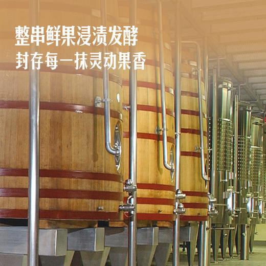 MM 山姆 Duboeuf法国进口 乔治杜博夫博若莱村红葡萄酒 750ml 商品图4