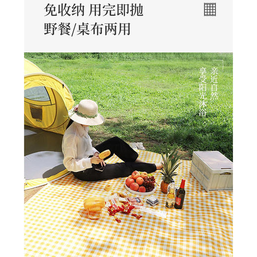 MT一次性野餐垫一次性餐具-纪念日百货门店同款171044542 商品图4