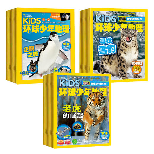 环球少年地理过刊组合 商品图1