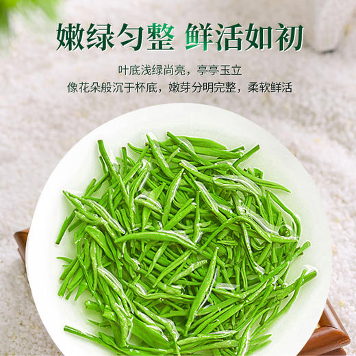 【2026年新茶预售】茶马世家丨信阳毛尖 河南名茶 绿茶 特级 50g 罐装，新茶预计4月10日发货 商品图6