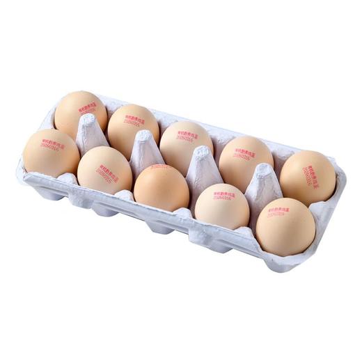 有机散养鸡蛋10枚 商品图2