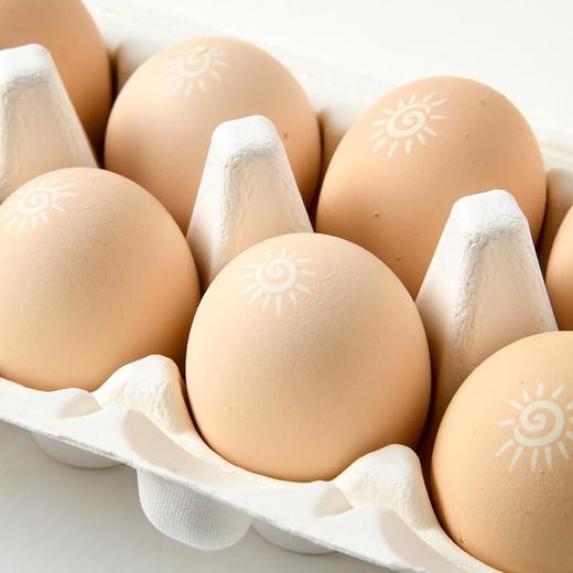 孜牧阳光鸡蛋10枚 商品图1